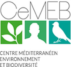 logo CeMEB